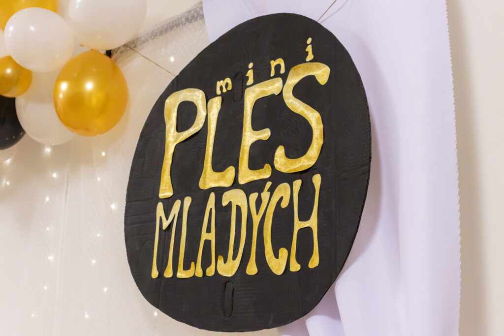 mini Ples Mladých – fotografia 7